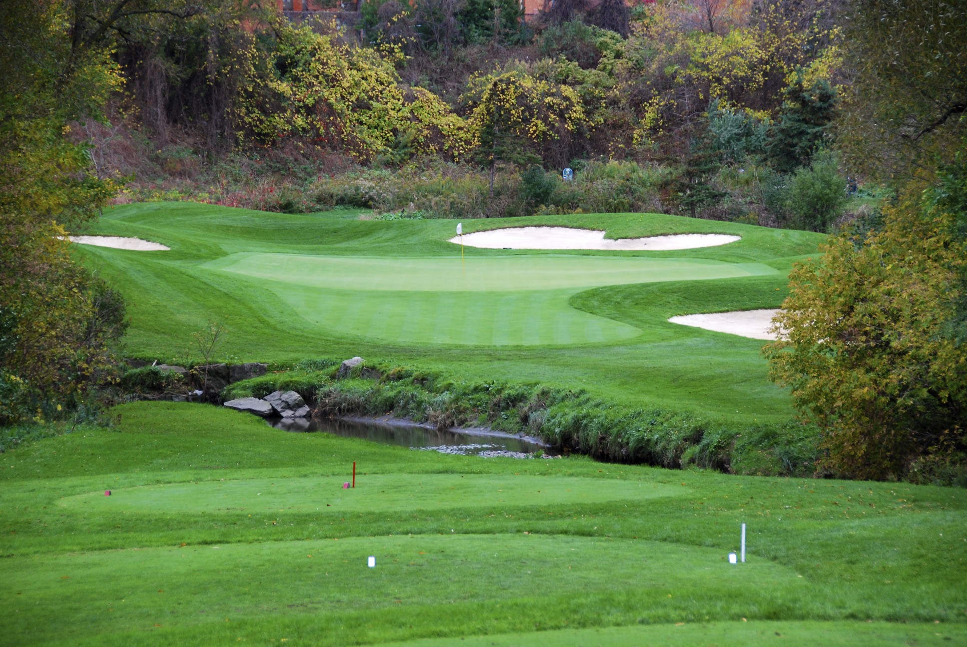 Golf Course Green